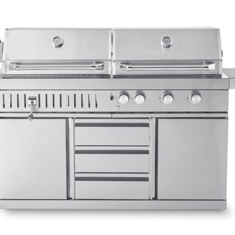 Cocina de exterior Gas y Carbón Stainless
